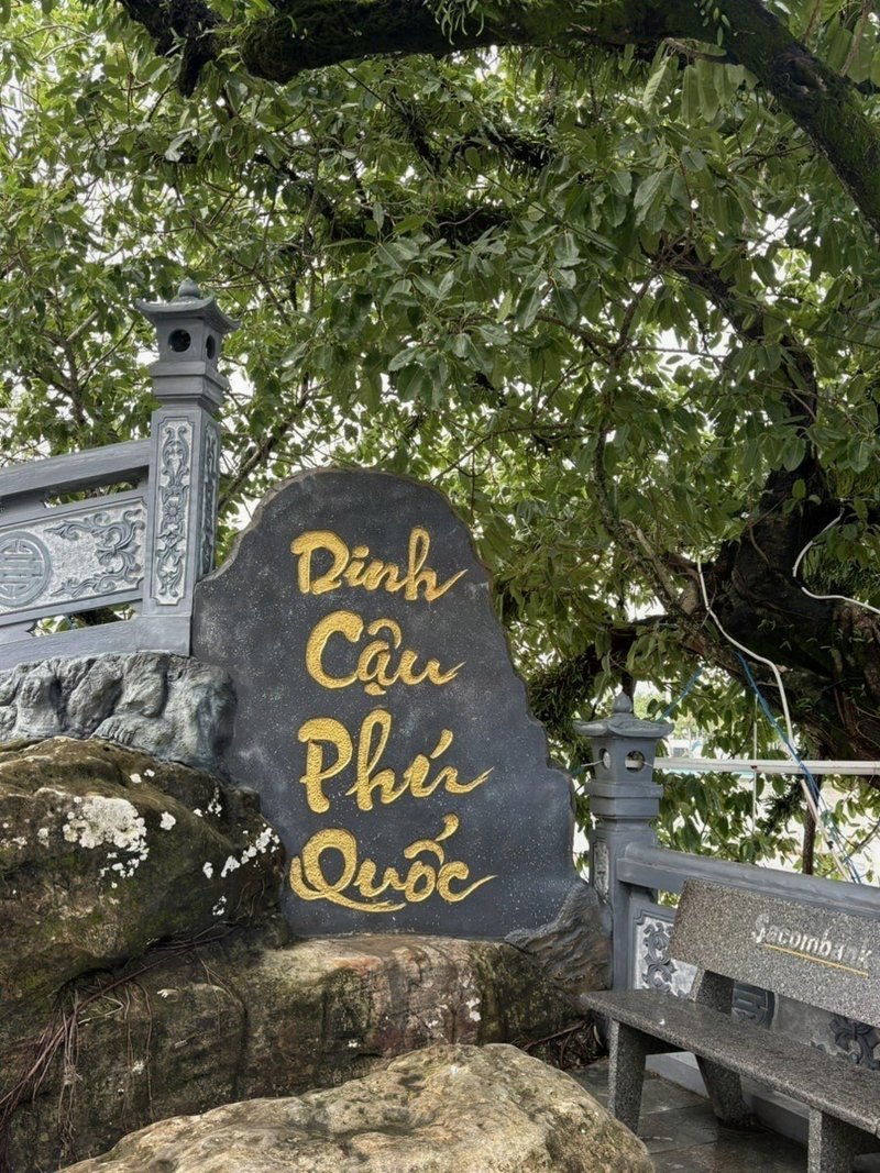 나무 아래 바위에 새겨진 Dinh Cau 표지석